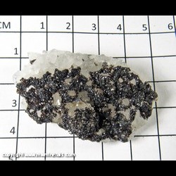 Mineral Specimen: Sphalerite on Quartz Crystals from Tri State District, Joplin, Missouri Mineral Specimen: Sphalerite on Quartz Crystals from Tri State District, Joplin, Missouri