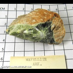 Mineral Specimen: Wavellite from Arkansas