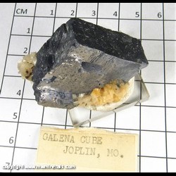 Mineral Specimen: Galena (unusualy thin crystal), Dolomite, minor Chalcopyrite from Tri-State District, Joplin, Missouri