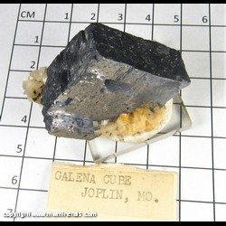 Mineral Specimen: Galena (unusualy thin crystal), Dolomite, minor Chalcopyrite from Tri-State District, Joplin, Missouri Mineral Specimen: Galena (unusualy thin crystal), Dolomite, minor Chalcopyrite from Tri-State District, Joplin, Missouri