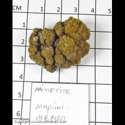 Mineral Specimen: Mimetite from Mapimi, Durango, Mexico