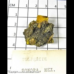 Mineral Specimen: Wulfenite, Mimetite from Sonora, Mexico (likely Mina San Francisco)