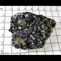 Mineral Specimen: Galena, Pyrite, Siderite from Gilman Dist, Eagle Co, Colorado Mineral Specimen: Galena, Pyrite, Siderite from Gilman Dist, Eagle Co, Colorado