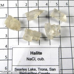 Mineral Specimen: Halite Cleavages from Searles Lake, San Bernardino Co., California