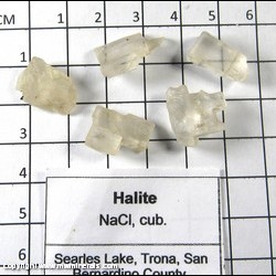 Mineral Specimen: Halite Cleavages from Searles Lake, San Bernardino Co., California Mineral Specimen: Halite Cleavages from Searles Lake, San Bernardino Co., California