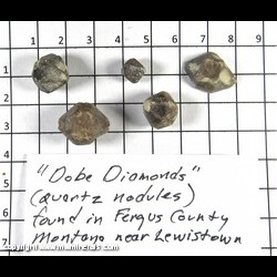 Mineral Specimen: Quartz variety: Dobe Diamonds from near Lewsiton, Fergus Co., Montana Mineral Specimen: Quartz variety: Dobe Diamonds from near Lewsiton, Fergus Co., Montana