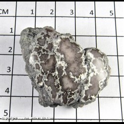 Mineral Specimen: Datolite Nodule (Polished) from Houghton Co., Michigan Mineral Specimen: Datolite Nodule (Polished) from Houghton Co., Michigan
