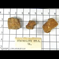 Mineral Specimen: Staurolite Twinned Crystals (3 crystals) from Virginia