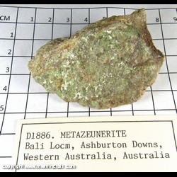 Mineral Specimen: Metazeunerite from Bali Lo copper mine, Ashburton Downs Station, Ashburton Shire, Western Australia, Australia