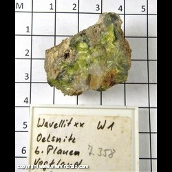Mineral Specimen: Wavellite from Schloditz, Plauen, Vogtlandkreis, Saxony, Germany