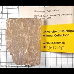 Mineral Specimen: Talc from Harford Talc and Quartz Company Quarry, Dublin, Harford Co., Maryland
