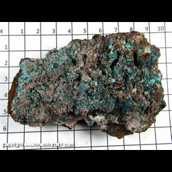 Mineral Specimen: Rosasite (minor damage - where color is lighter) from Mina Ojuela, Mapimi, Durango, Mexico