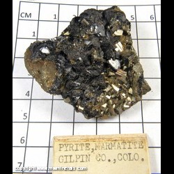 Mineral Specimen: Pyrite, Sphalerite variety: Marmatite from Gilpin Co., Colorado Mineral Specimen: Pyrite, Sphalerite variety: Marmatite from Gilpin Co., Colorado