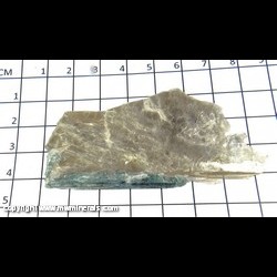 Mineral Specimen: Tourmaline, Muscovite from Oxford Co., Maine
