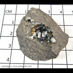 Mineral Specimen: Pyrite, Diploid Crystals with Iridescence, Dolomite from Duff Quarry, Huntsville, Logan Co,  Ohio