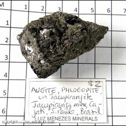 Mineral Specimen: Augite, Phlogopite on Jacupirangite from Jacupiranga Alkaline Complex, Cajati, Sao Paulo, Brazil