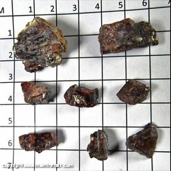 Mineral Specimen: Tantalite-(Mn), 9 specimens from Quixaba Mine, Frei Martiho, Paraiba, Brazil
