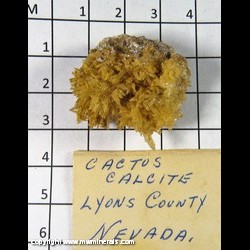 Mineral Specimen: Calcite variety: Cactus from Yerington, Lyon Co., Nevada