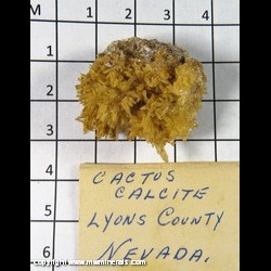 Mineral Specimen: Calcite variety: Cactus from Yerington, Lyon Co., Nevada Mineral Specimen: Calcite variety: Cactus from Yerington, Lyon Co., Nevada