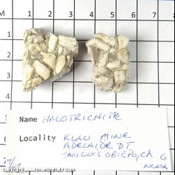 Mineral Specimen: Halotrichite - 2 specimens from Klau Mine , Adelaida, Adelaide Mining Dist., San Luis Obispo Co., California Mineral Specimen: Halotrichite - 2 specimens from Klau Mine , Adelaida, Adelaide Mining Dist., San Luis Obispo Co., California