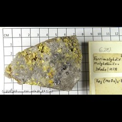 Mineral Specimen: Ferrimolybdite, Molybdenite from Idaho