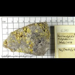 Mineral Specimen: Ferrimolybdite, Molybdenite from Idaho Mineral Specimen: Ferrimolybdite, Molybdenite from Idaho