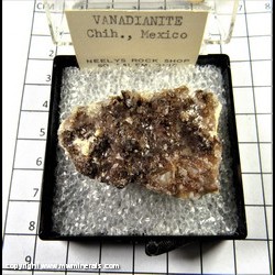 Mineral Specimen: Vanadinite variety: Endlichite (Arsenian) from Chihuahua, Mexico Mineral Specimen: Vanadinite variety: Endlichite (Arsenian) from Chihuahua, Mexico