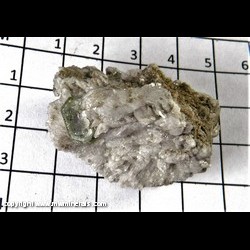 Mineral Specimen: Fluorapatite on Albite from Sapo mine, Ferruginha, Conselheiro Pena, Minas Gerais, Brazil