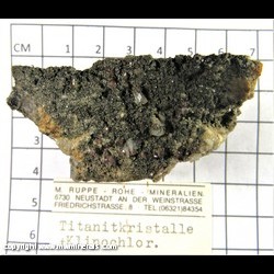 Mineral Specimen: Titanite (Sphene) crystals, Quartz crystals, Clinochlore from St. Gotthard, Switzerland