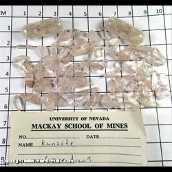 Mineral Specimen: Kunzite (Spodumene) Shards from Connecticut