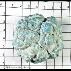 Mineral Specimen: Turquenite - dyed Howlite or Magnesite from location unknown Mineral Specimen: Turquenite - dyed Howlite or Magnesite from location unknown