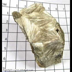 Mineral Specimen: Pectolite from Paterson, Passaic Co., New Jersey Mineral Specimen: Pectolite from Paterson, Passaic Co., New Jersey