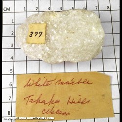 Mineral Specimen: Marble from Takaka Hills, near Nelson, South Island, New Zeeland