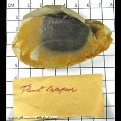 Mineral Specimen: Flint from Napier, North Island, New Zeeland