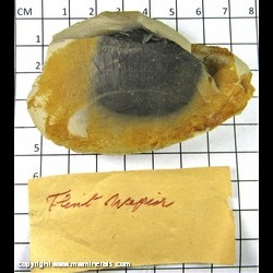 Mineral Specimen: Flint from Napier, North Island, New Zeeland Mineral Specimen: Flint from Napier, North Island, New Zeeland