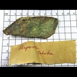 Mineral Specimen: Chrysocolla - thin crust only from Takaka, South Island, New Zeeland Mineral Specimen: Chrysocolla - thin crust only from Takaka, South Island, New Zeeland