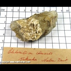 Mineral Specimen: Chlorite on Calcite from Nelson Point, Takawa, South Island, New Zeeland Mineral Specimen: Chlorite on Calcite from Nelson Point, Takawa, South Island, New Zeeland