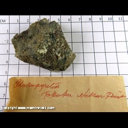 Mineral Specimen: Chalcopyrite from Nelson Point, Takawa, South Island, New Zeeland