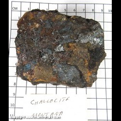 Mineral Specimen: Chalcocite from Montana