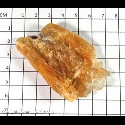 Mineral Specimen: Selenite on "Red" Gypsum from Grand Rapids Gypsum Company Mine (now Michigan Natural Storage), Wyoming, Kent Co., Michigan