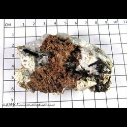 Mineral Specimen: Rhodochrosite, Aegerine, Albite, other unidentified from Poudrette Quarry, Mont Saint-Hilaire, Rouville RCM, Monteregie, Quebec, Canada