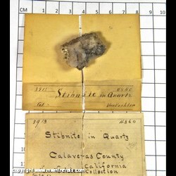 Mineral Specimen: Stibnite in Quartz from Calaveras Co., California