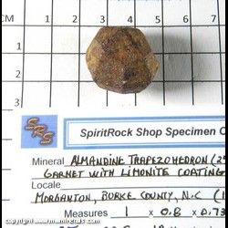 Mineral Specimen: Almandine Garnet Trapezohedron (24 faces) coated with Limonite from Morganton, Burke Co., North Carolina