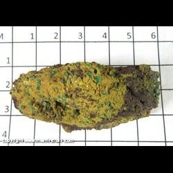 Mineral Specimen: Adamite variety: Cuprian from Gold Hill Mine, Tooele Co,  Utah