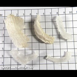 Mineral Specimen: Alum-(K) aka Potassium Alum - 5 specimens from Alum Mine, Alum Mining District, Esmeralda Co., Nevada
