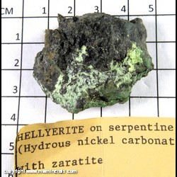 Mineral Specimen: Hellyerite (has decomposed to an amorphous, Zaratite-like green phase and other secondary nickel minerals), Zaratite on Serpentine from Lord Brassey Mine, Heazlewood dist., Waratah-Wynyard, Tasmania, Australia Mineral Specimen: Hellyerite (has decomposed to an amorphous, Zaratite-like green phase and other secondary nickel minerals), Zaratite on Serpentine from Lord Brassey Mine, Heazlewood dist., Waratah-Wynyard, Tasmania, Australia