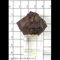 Mineral Specimen: Goethite Pseudomorph after Pyrite from Kirkeeks Treasure Mine, Mt Victor, Olary Province, South Australia, Australia