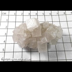 Mineral Specimen: Halite Crystals from Brawley, Imperial Co., California Mineral Specimen: Halite Crystals from Brawley, Imperial Co., California