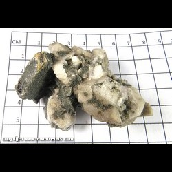 Mineral Specimen: Adularia, Chlorite from Tyrol, Austria