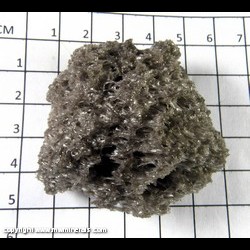 Mineral Specimen: Pumice (floats) from Lava Flow, Mt. Hoffman, Modoc Co., Californa
